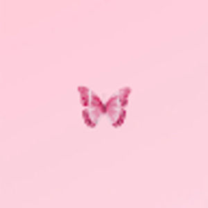 Meet your Posher, Leyna